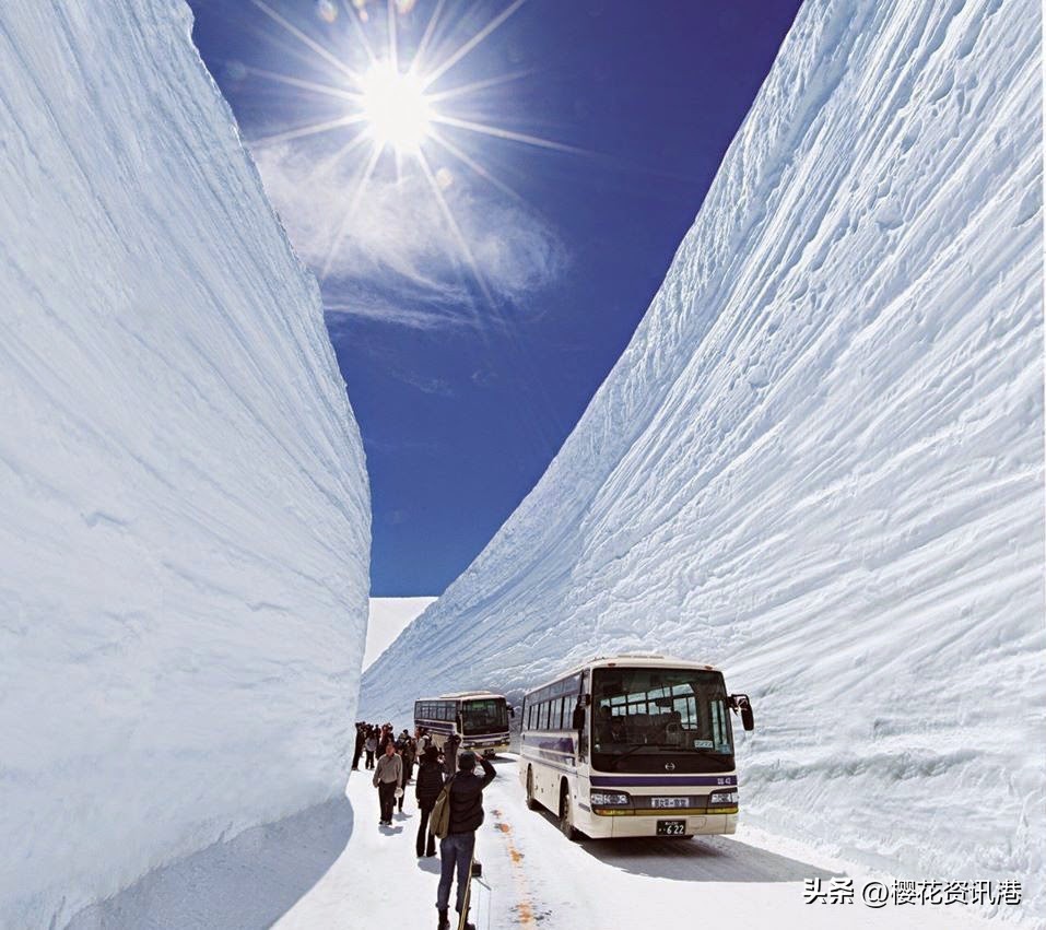 日本春季旅游攻略图,秋季日本旅游路线推荐