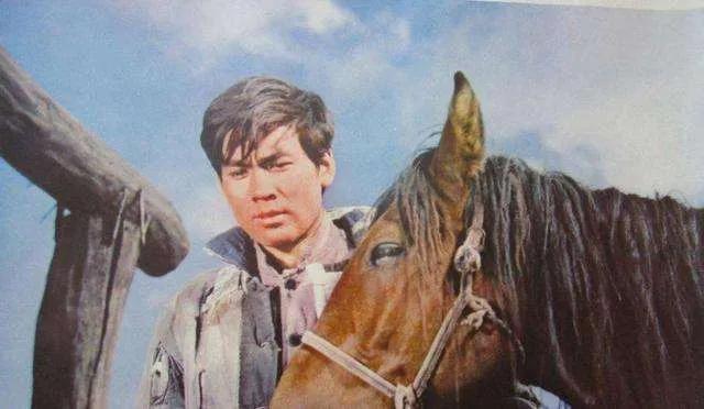 牧马人观后感100篇,看完牧马人的观后感