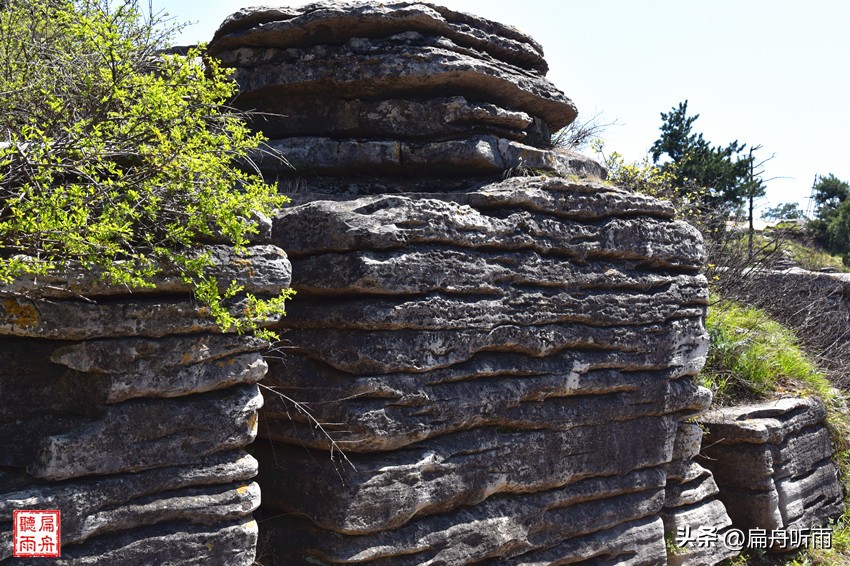 太行王莽岭简介,太行山王莽岭