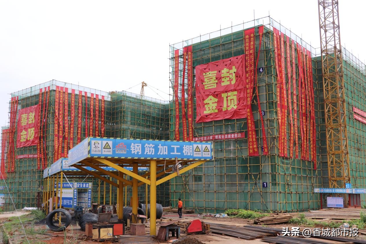 光谷未来捷报,武汉前程教育2024喜报