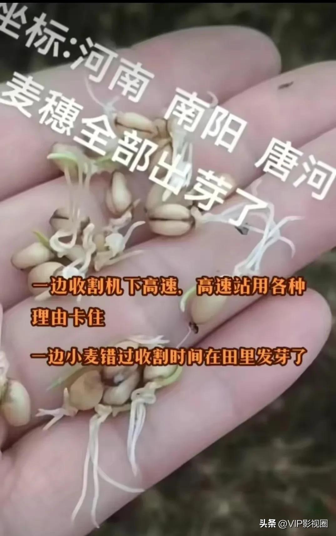 央媒六问收割机事件央广网,央广网六问河南收割机下高速