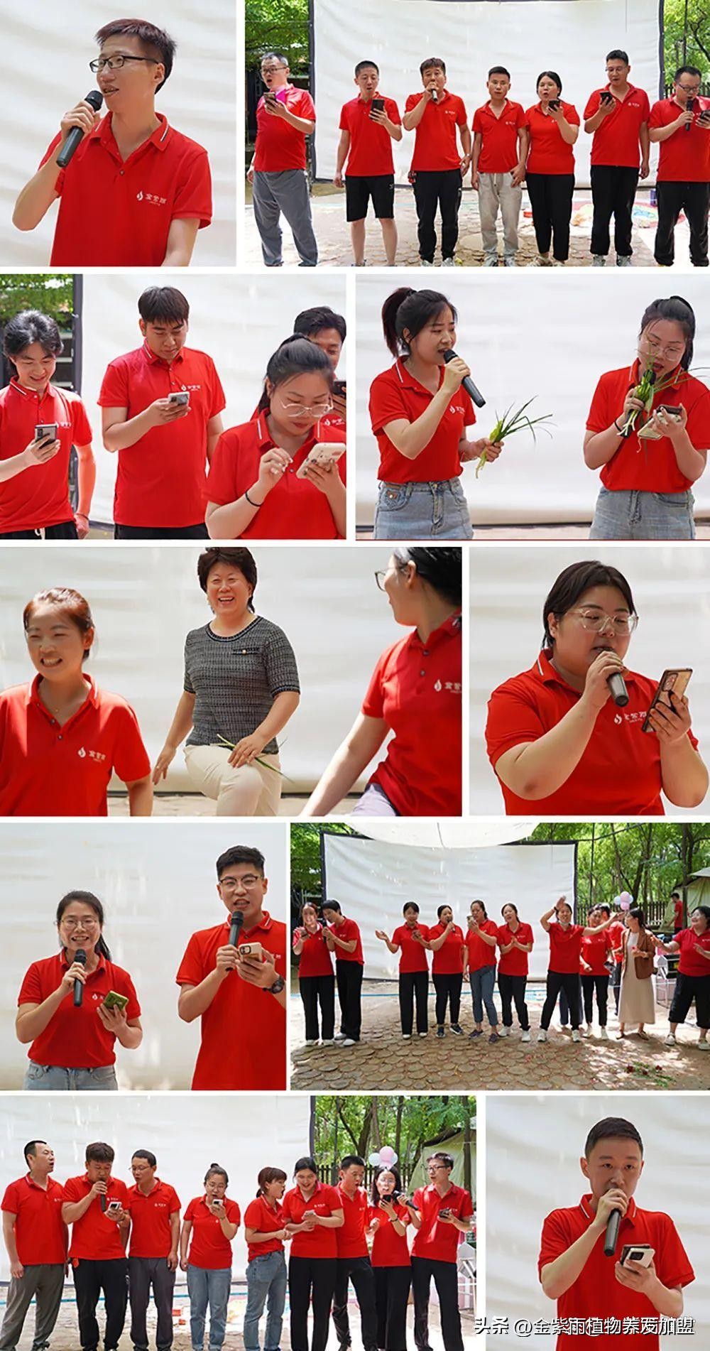 伊莱雅集团直播,伊莱雅集团