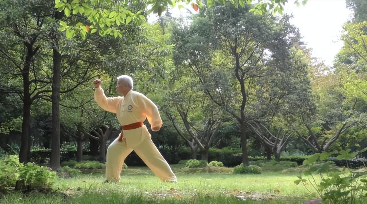 脑卒中偏瘫中医康复训练,脑中风的运动康复训练方法