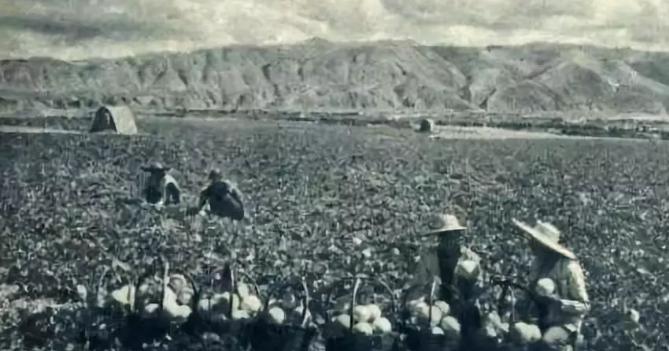 1年1张，100年兰州