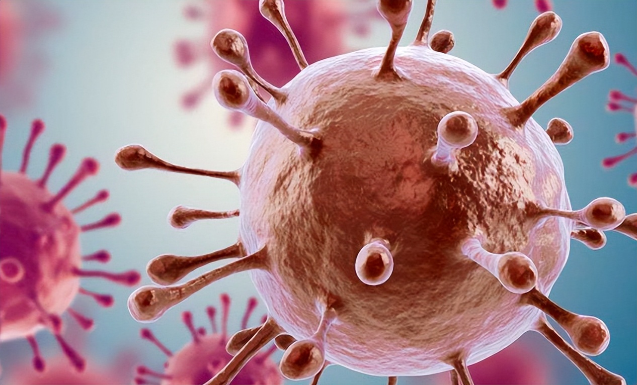 内衣裤穿一天到底有多脏,穿一天的裤子后边有异味