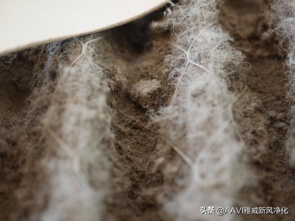 家里灰尘多买空气净化器有用吗,除家里灰尘空气净化器