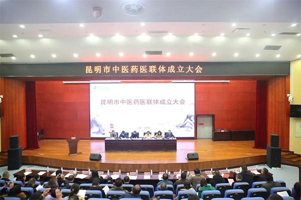 医联体合作医院方案,共建中西医结合医联体