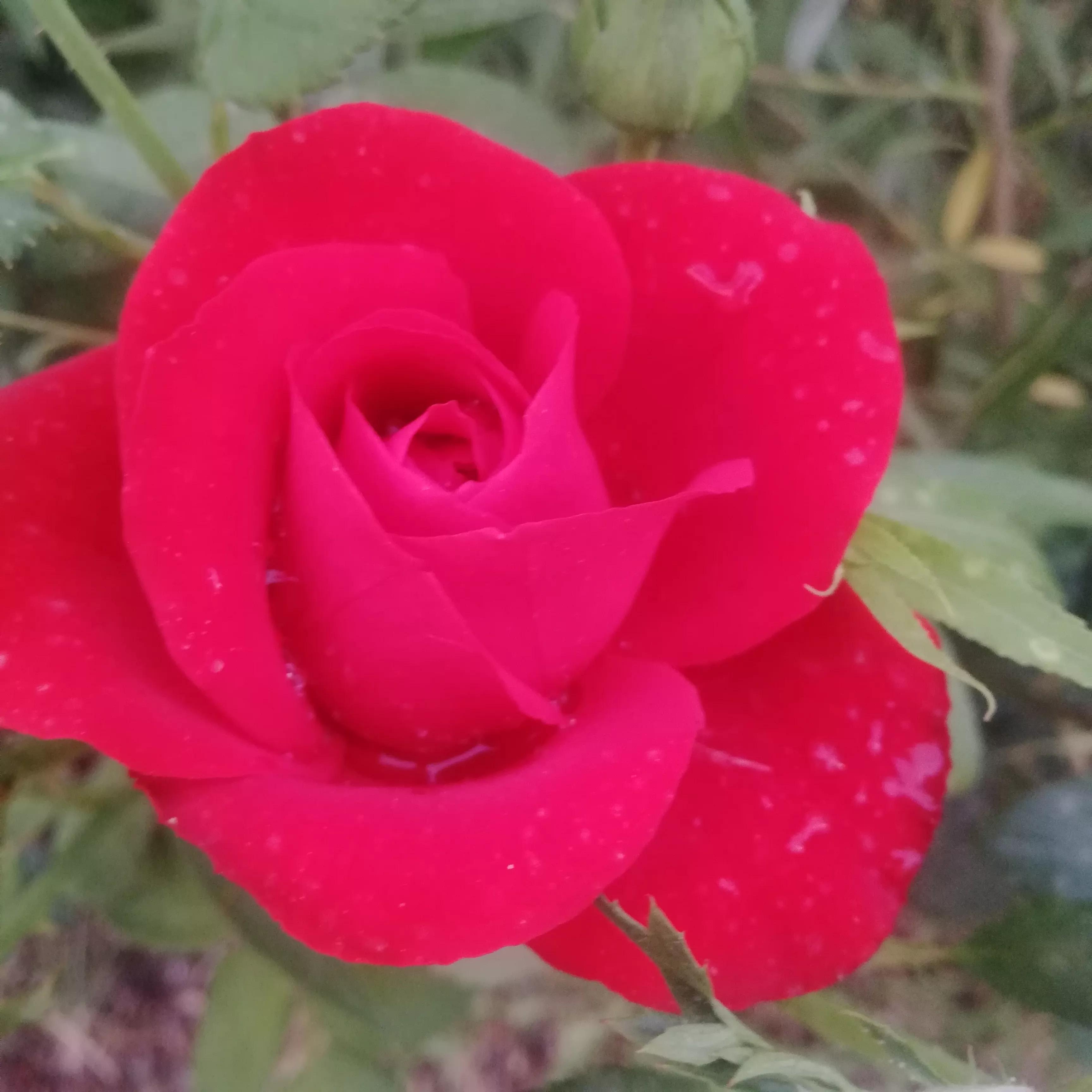 俄乌战场战役复盘,俄乌之战十点分析