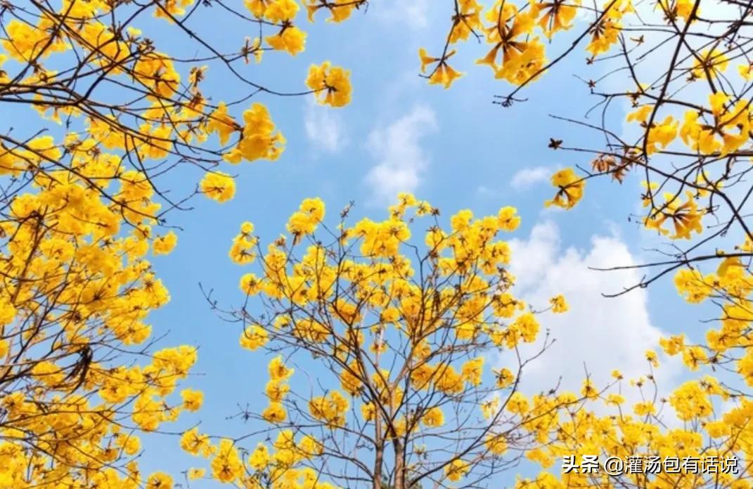 如何正确消费做到不浪费,生活中最省钱的消费方法