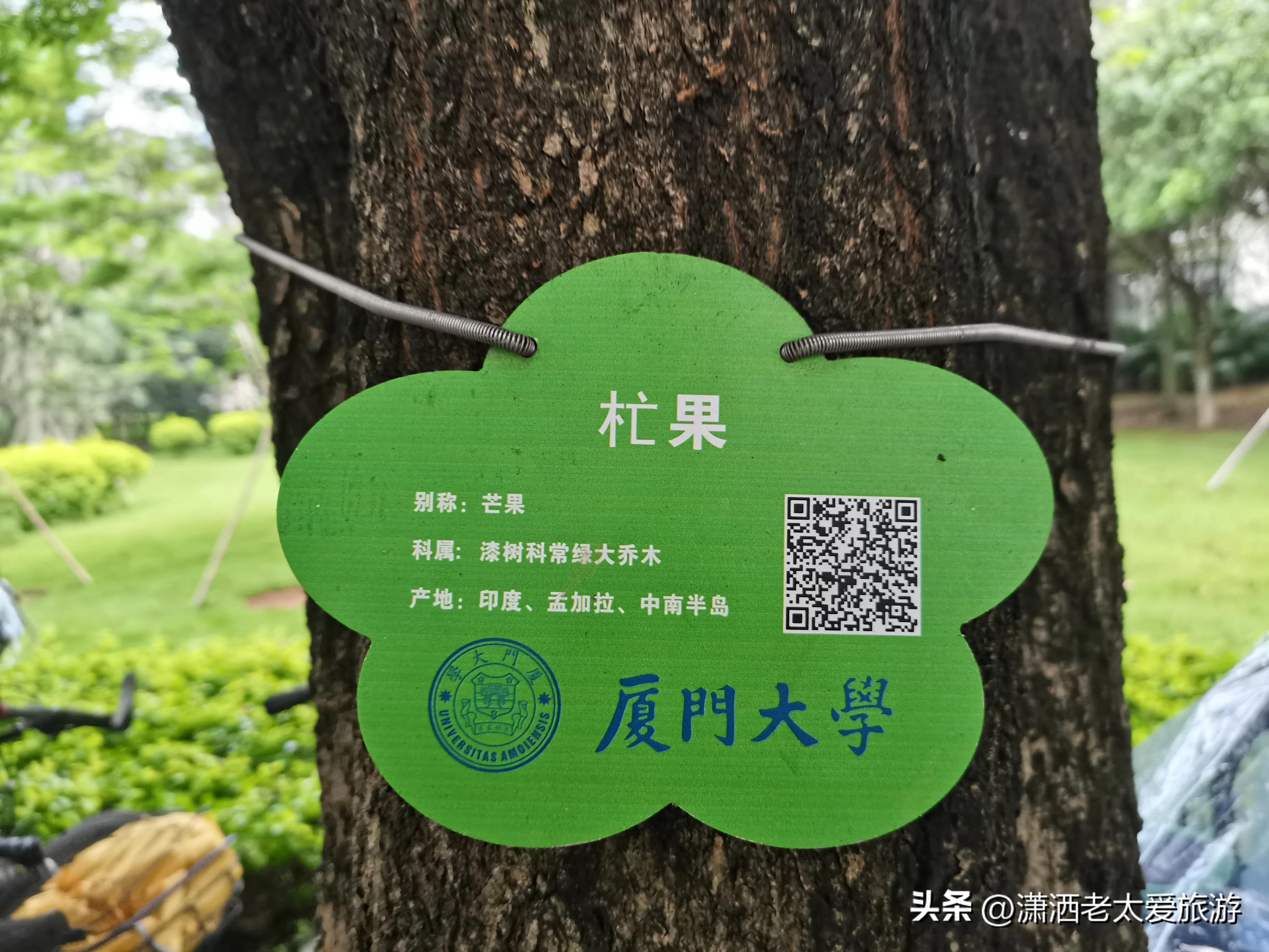 厦门3天2晚自由行1299,厦门旅游攻略3天2晚自由行2月