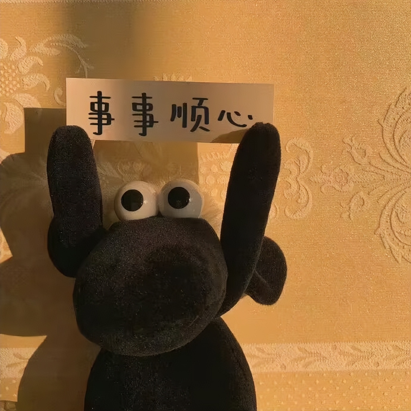 水瓶座双鱼座2024全年运势,水瓶座和摩羯座和双鱼座能搭配吗