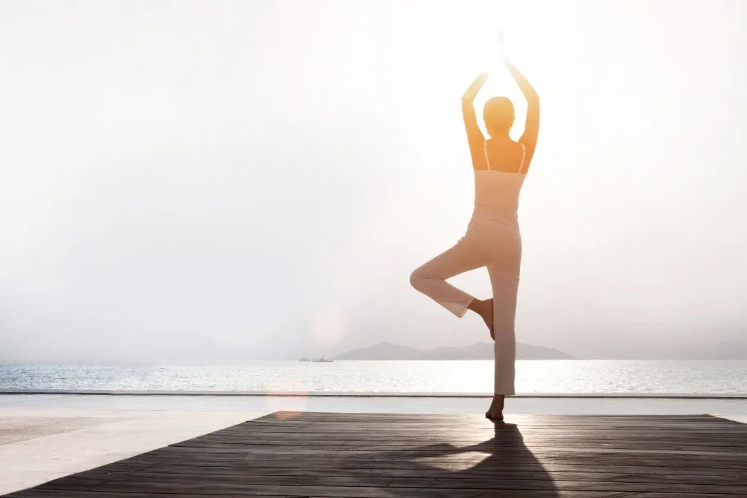 富饶的西沙群岛海底视频,西沙群岛最大岛屿是哪个