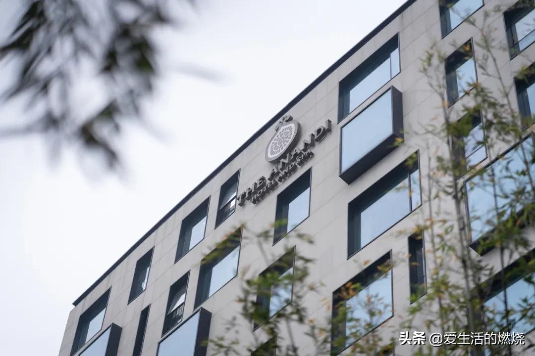 上海阿纳迪酒店特色和作用,上海阿纳迪酒店评价