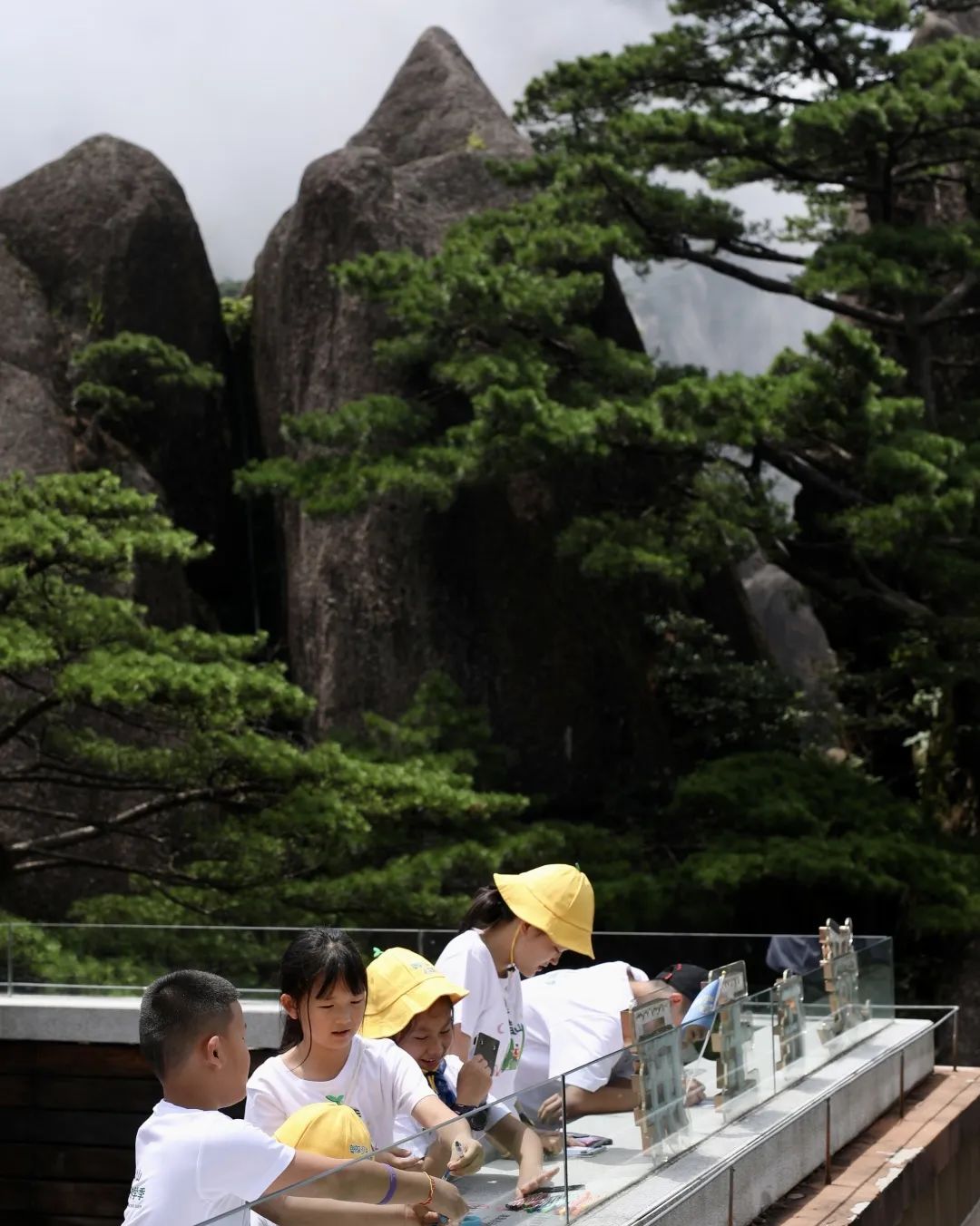 登山，观星，云海，日出，朗读会……跟着朗朗少年游学黄山