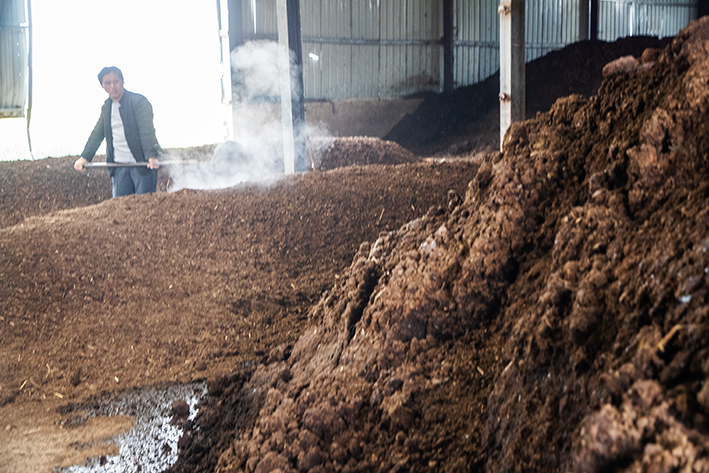 返乡创业青年种植大户,返乡种植养殖创业青年