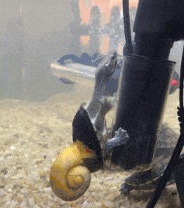 上课衣服穿反怎么办,上课忘记穿裤子该怎么办