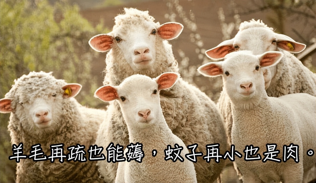 该手机号已被其他账户注册使用,使用的手机号被别人注册支付宝