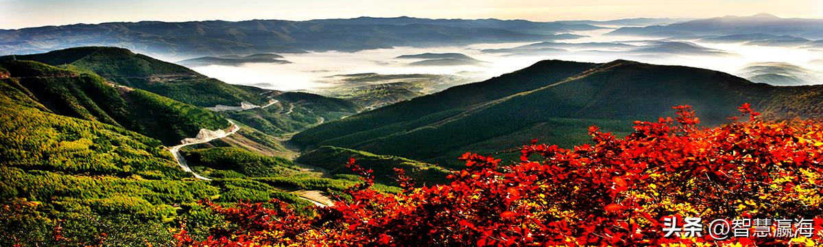 大美中国走进宁夏固原,宁夏固原简介