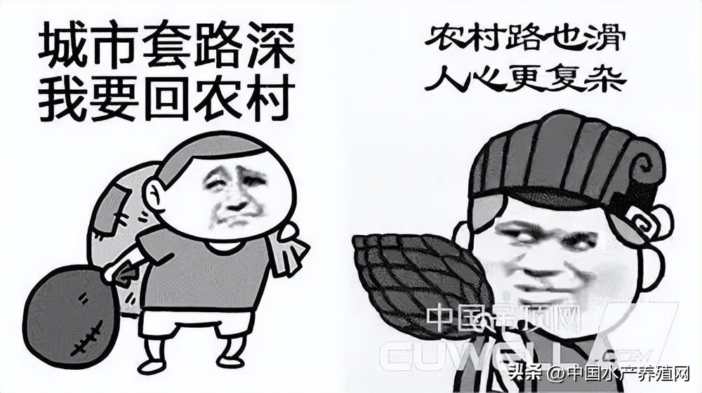 馅饼还是陷阱?知名品牌渔药半价就能买到?打款却收不到货?