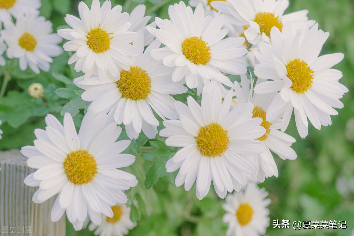 自媒体怎么一个月赚1000,自媒体怎么做到一月挣一万