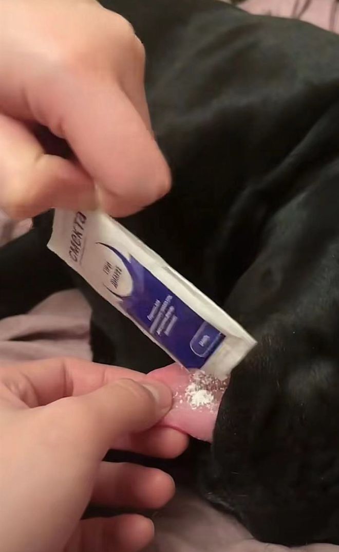 狗狗拉肚子快速解决方法,狗狗拉肚后拉不下粑粑怎么回事