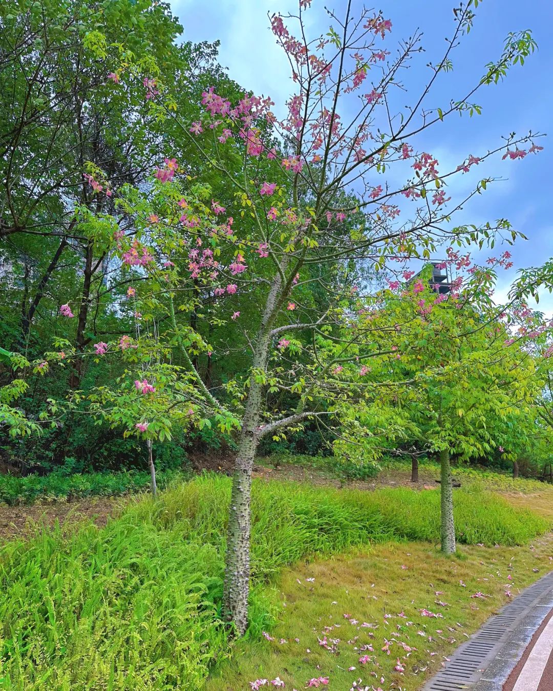 世界杯开始精彩,世界杯开始了没