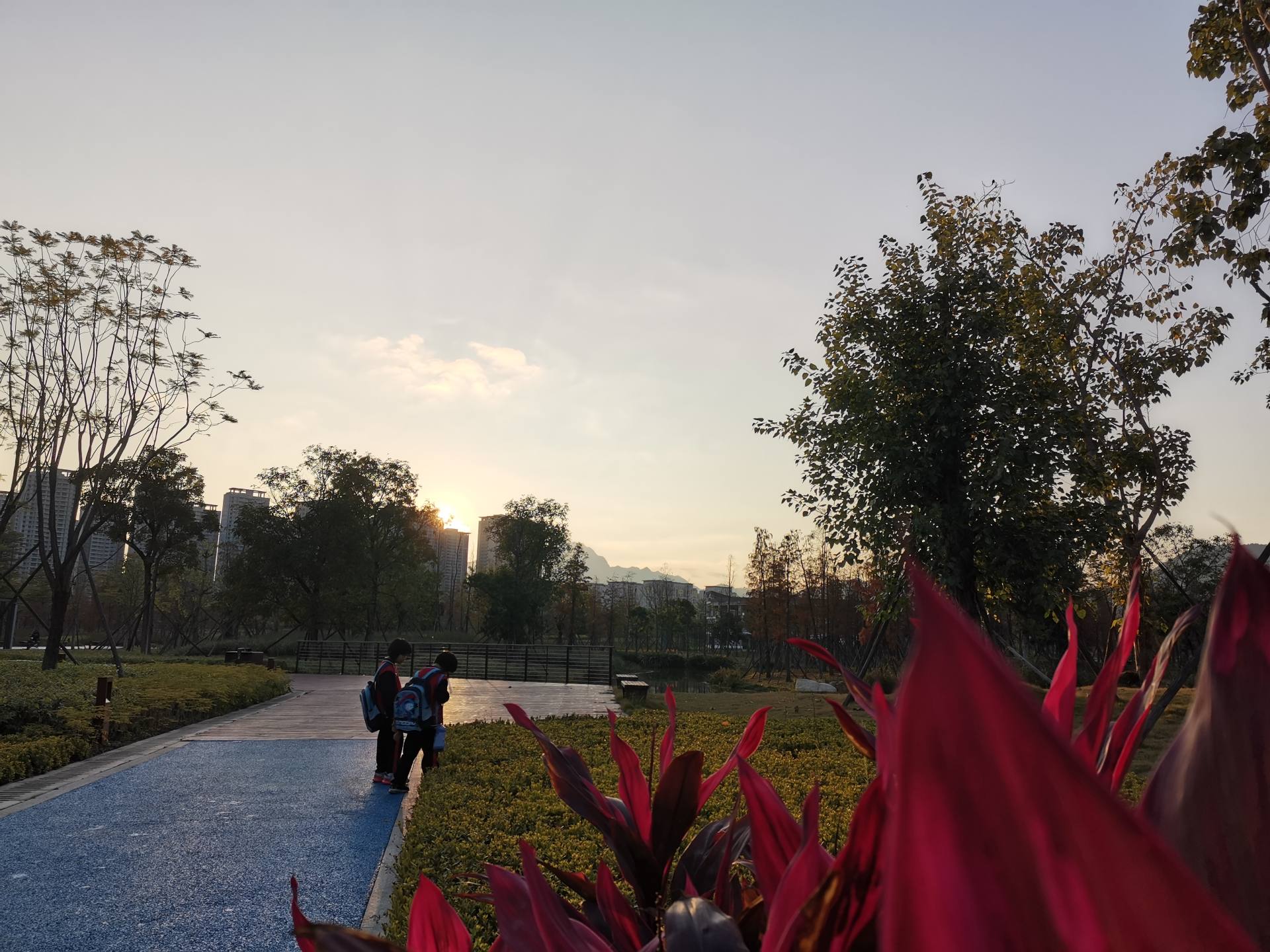 我，湖北女人，老公卖婚房助我做外贸，公司却破产了，我负债累累