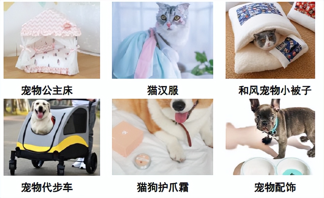 中金•联合研究|宠物全产业链研究：萌宠来袭，长坡厚雪