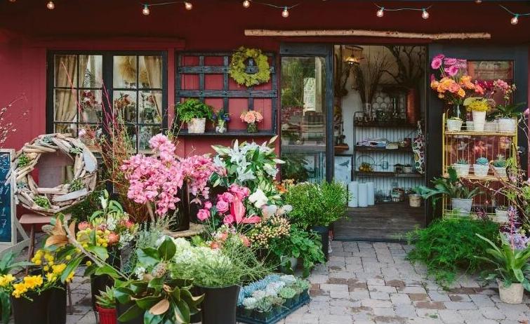 2023加盟店最火爆项目排行榜,2023年最赚钱加盟店