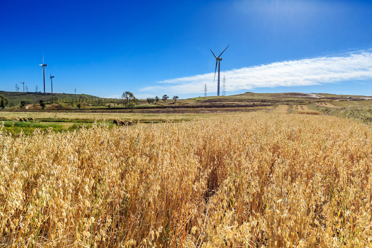 有没有讨厌秋天的人,我讨厌秋天
