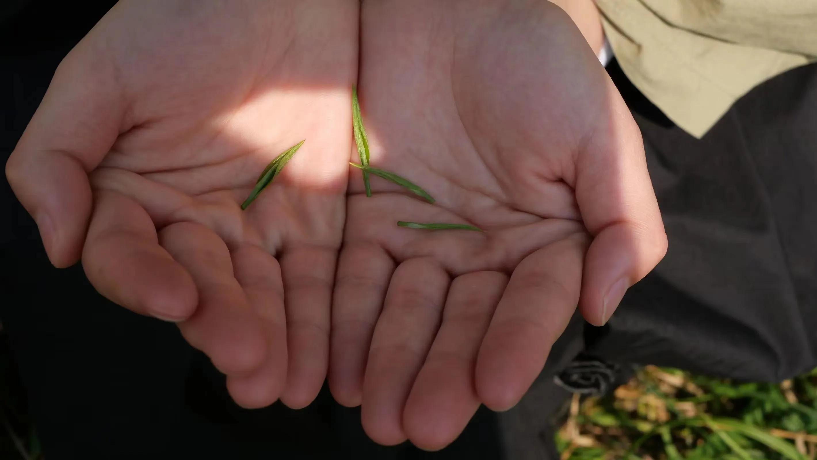 人活着努力赚钱拼命工作是为了什么呢？