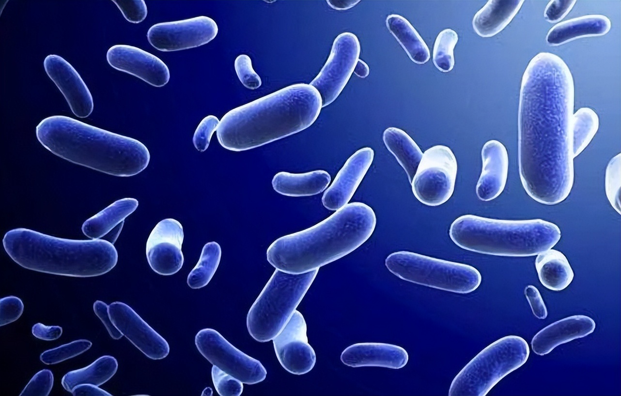 关于幽门螺杆菌（HP）的八条建议