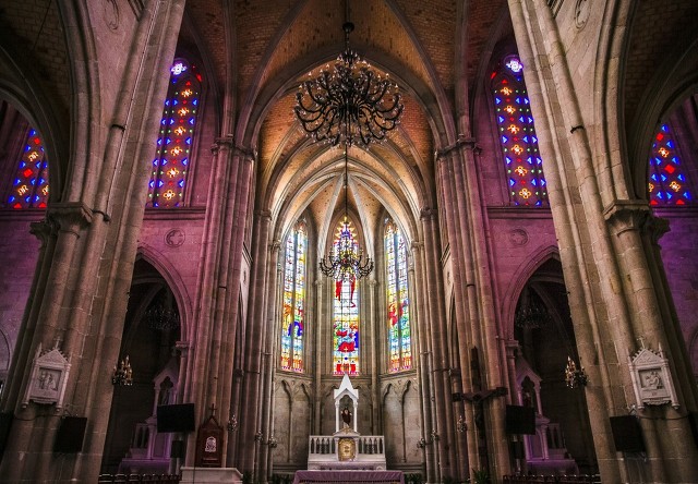 广州打卡景点或网红景点,广州秋天打卡景点或网红景点