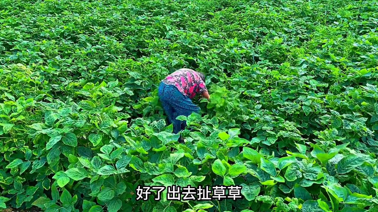 门锁被风吹得咣咣响怎么办,智能门锁被风吹