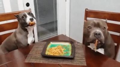 网恋奔现大型翻车纯属尴尬,网恋奔现兄弟们这算翻车吗