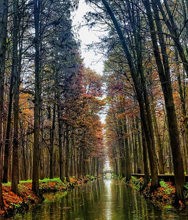 在江苏的“绿林仙海”中，寻找侠气与柔情