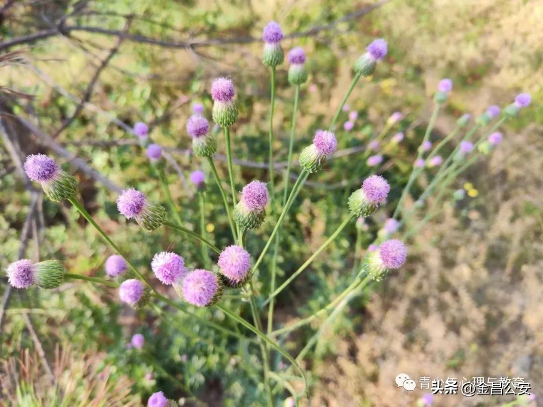 高考心理疏导,高考心理疏导100个方法