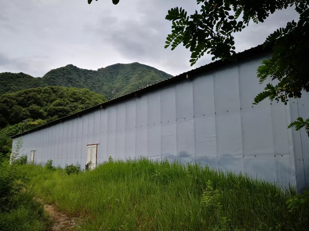 房山金陵遗址公园开放了吗,房山金陵遗址公园