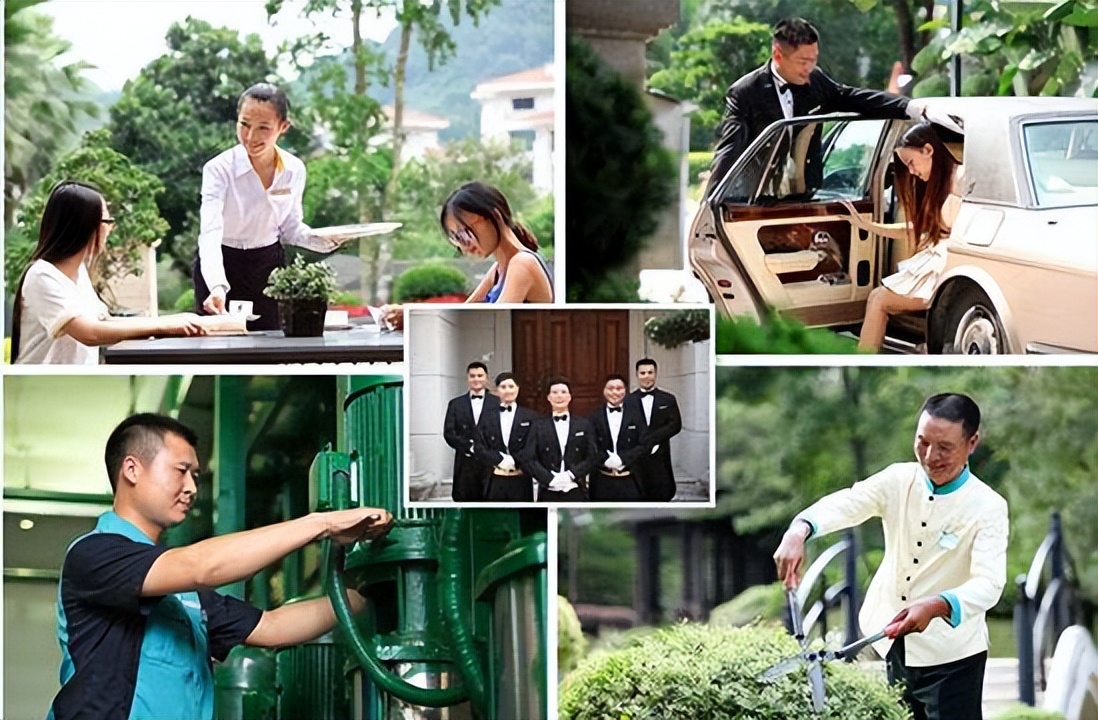 物业保洁绿化工作实例分析,物业绿化保洁培训与管理手册