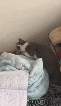 老师上课忘记关投影仪了,女老师上课期间忘记关投影仪