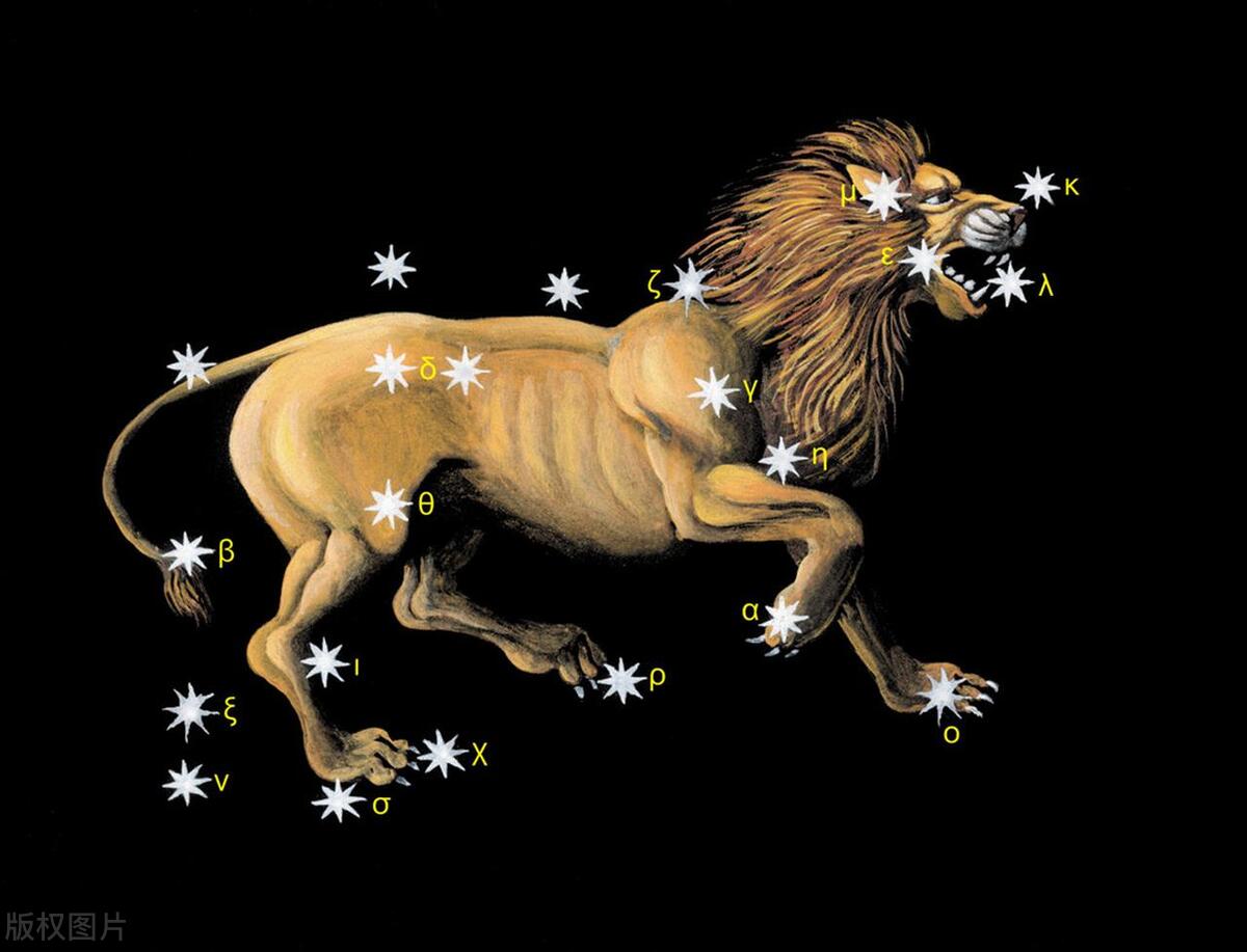 星座解析狮子座五月,狮子座的七大未解之谜图片
