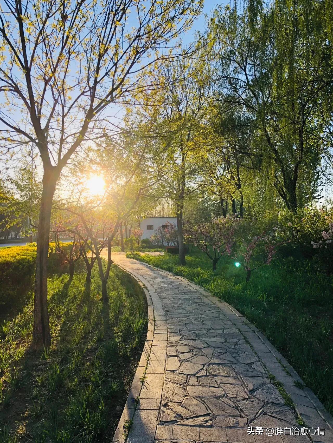 美丽风景治愈心情的句子,描写海边风景的句子段落