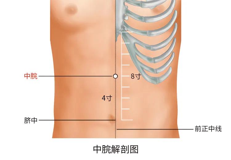 后背长了好多小米粒图片,夏天背上起了很多小米粒