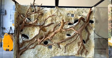 在卧室造一片弱肉强食的危险雨林，会打雷还真的会下雨