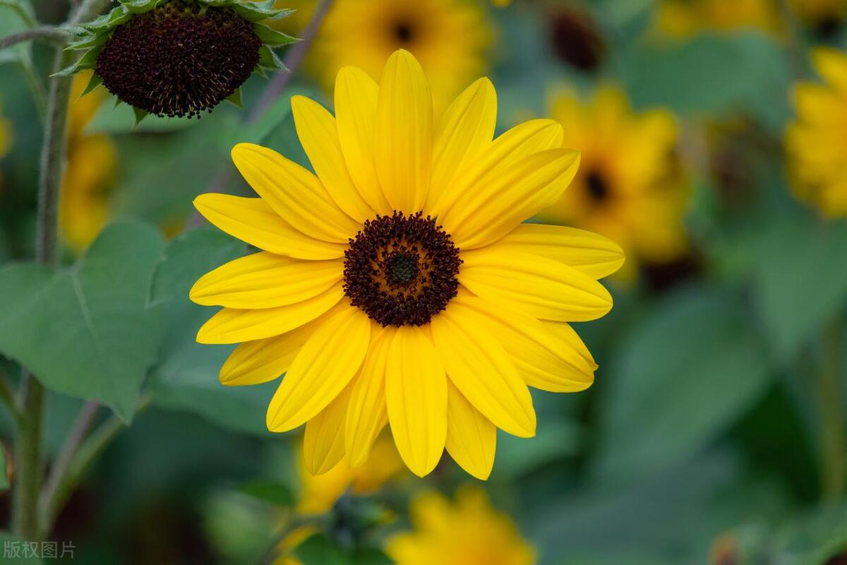 反诈电话提醒是真是假,电话智能反诈功能