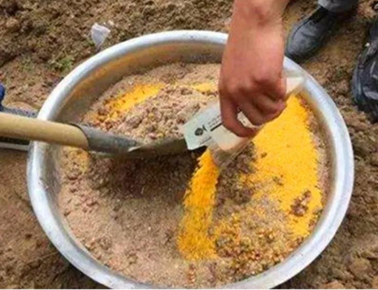 用什么钩钓鲤鱼中鱼几率高,野钓鲤鱼怎么才能把鲤鱼诱过来