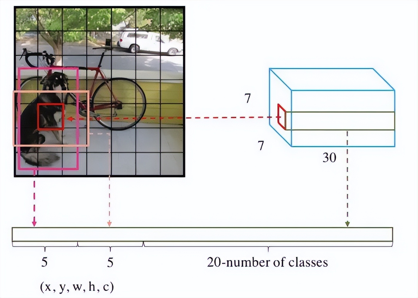 如何快速使用yolo,学习yolo之前要掌握什么知识