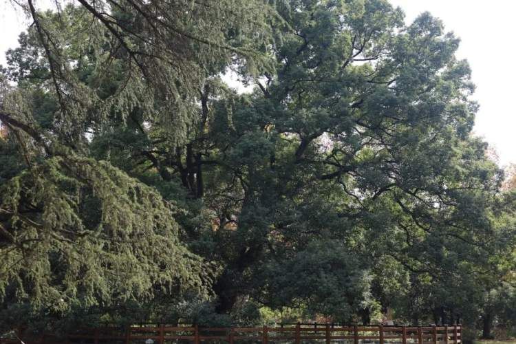 最值得打卡的动物园,国庆必打卡动物园推荐