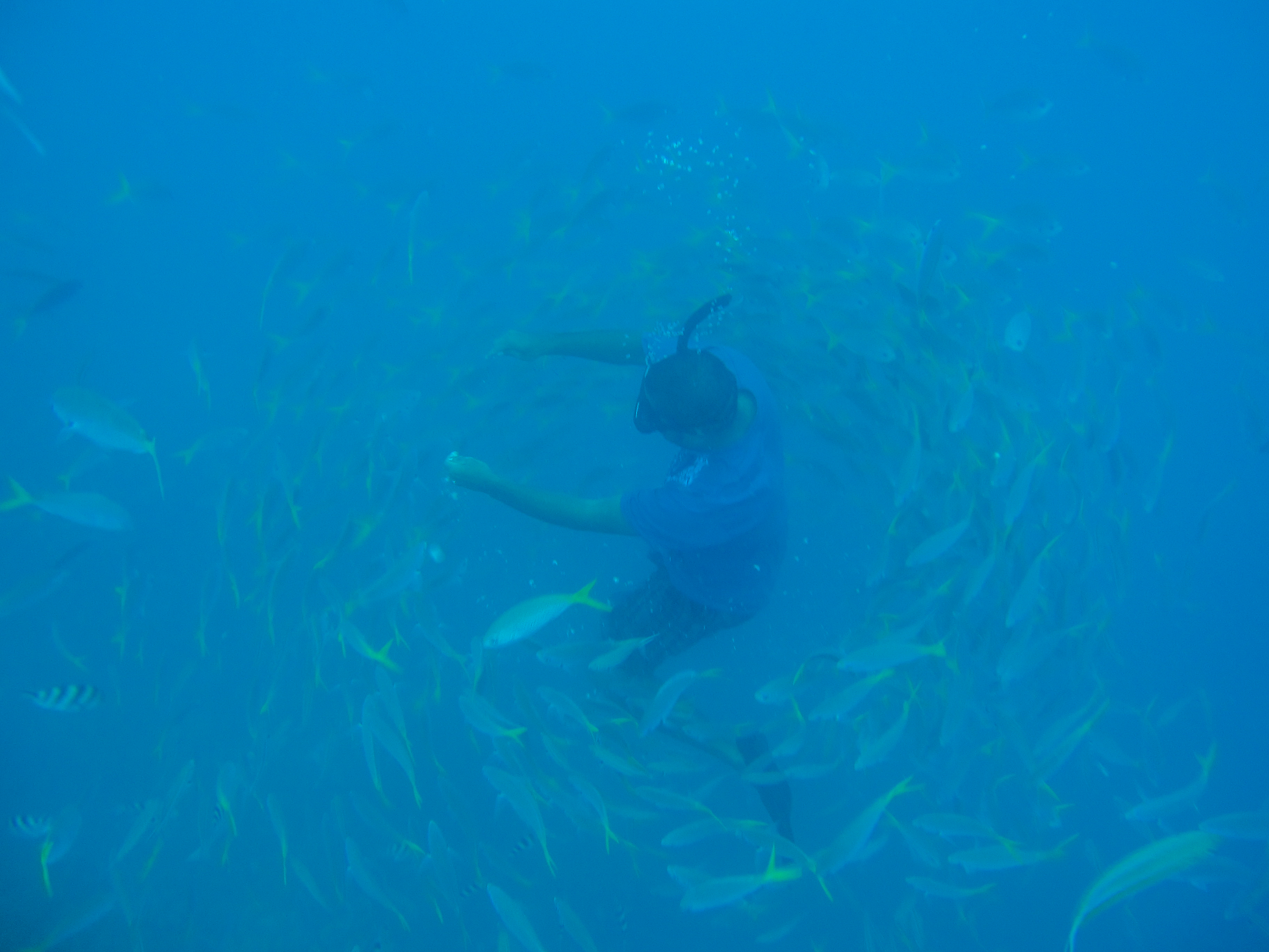 孤悬在太平洋上的岛国,帕劳,人生最值得一去的旅游目的地之一