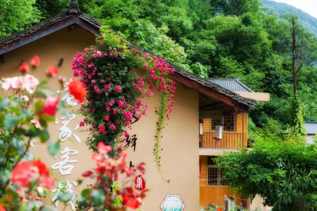 陇南旅游度假,陇南养生天堂旅游攻略